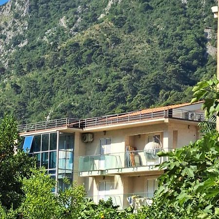 Apartments With Sea View In Prcanj كوتور المظهر الخارجي الصورة