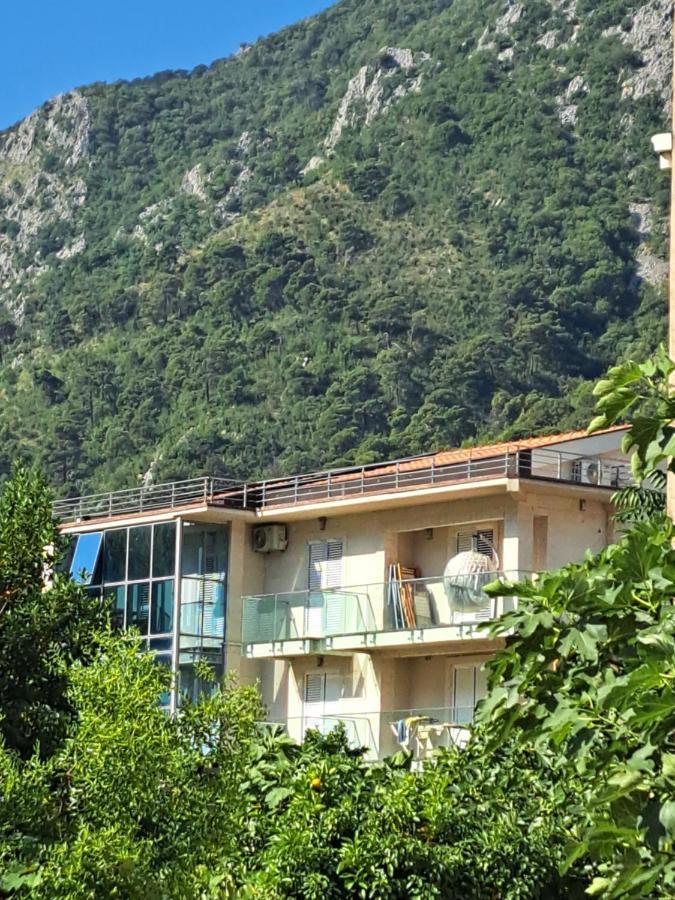 Apartments With Sea View In Prcanj كوتور المظهر الخارجي الصورة